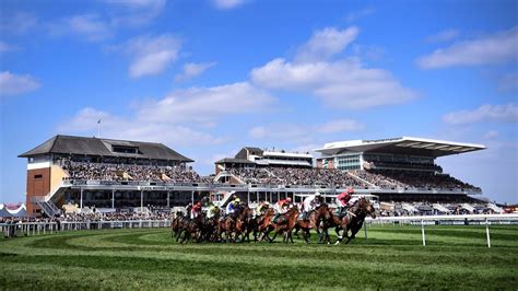 aintree grand national 2023 results|Grand National 2023 full results and which finishing places each.